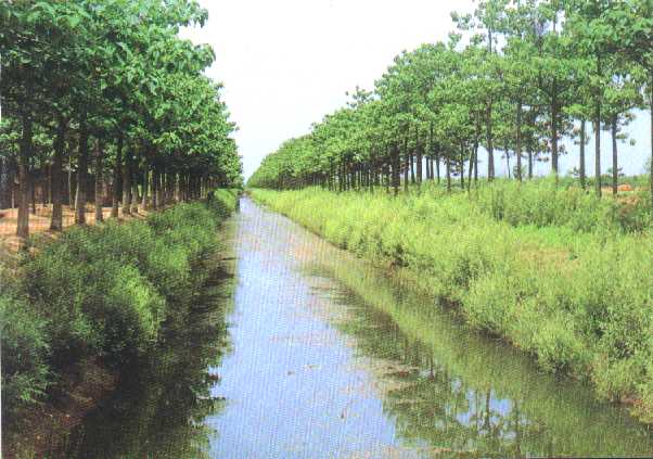 water channel